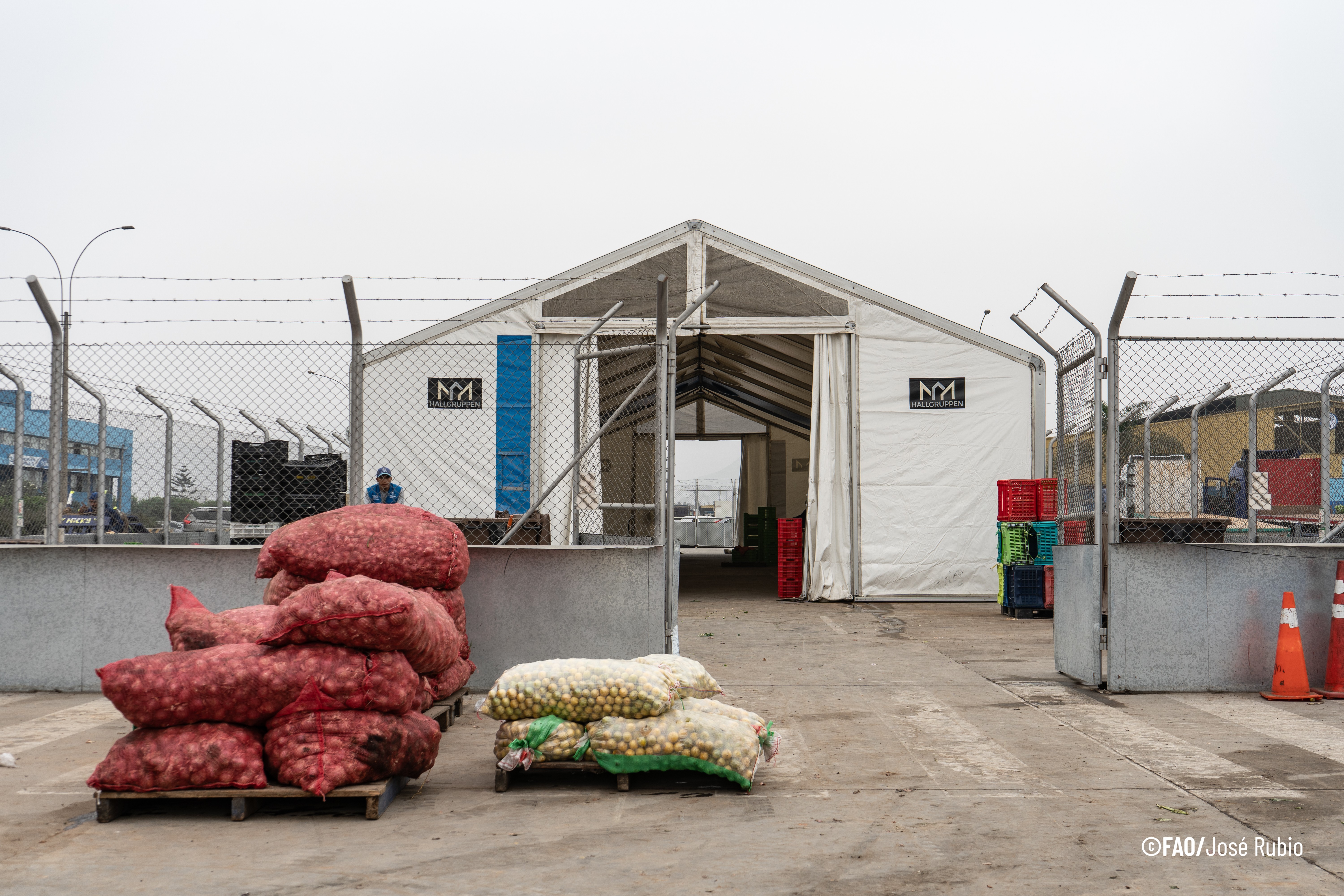 Recuperación de alimentos en el campo