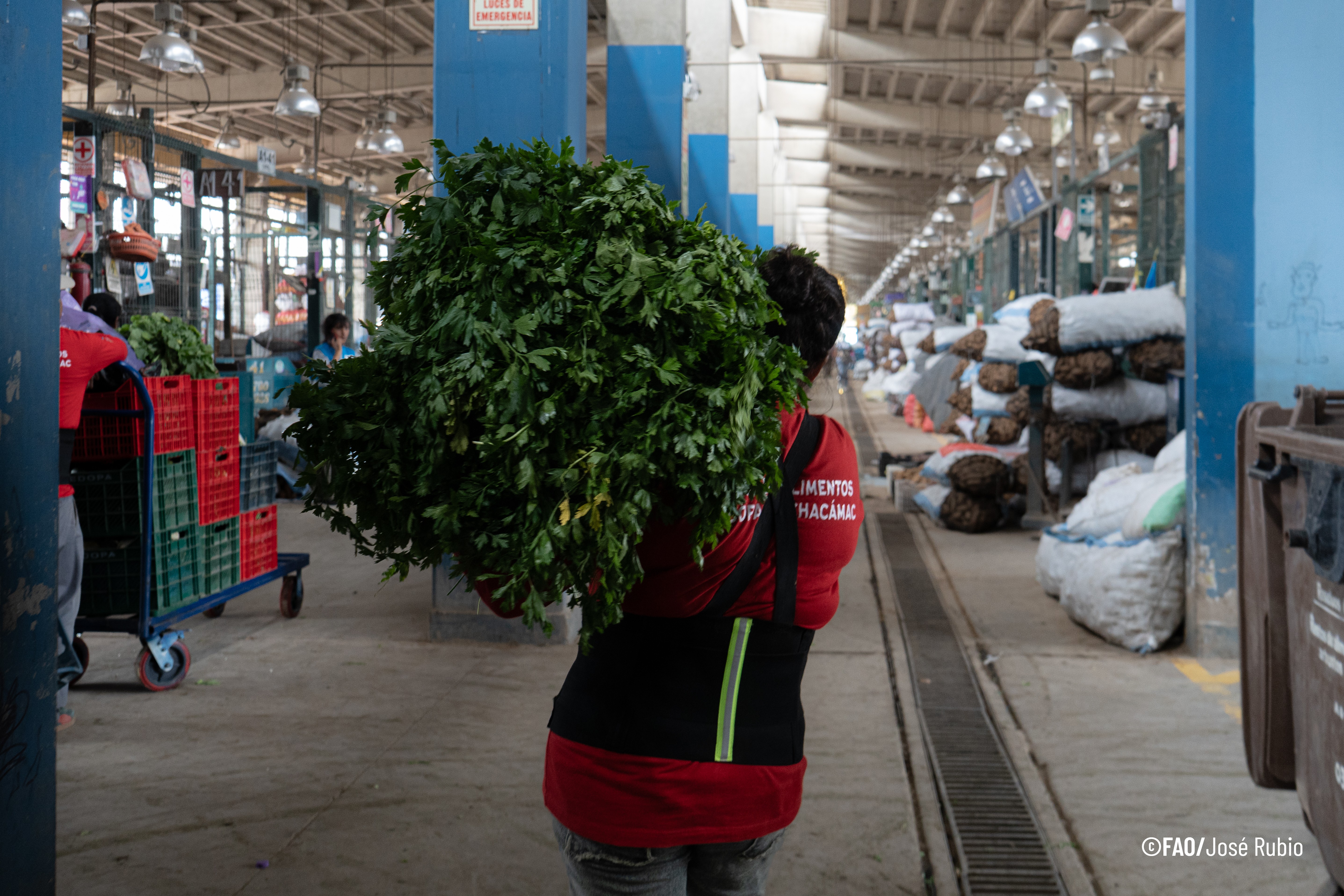 Mujeres recuperando alimentos en mercados mayoristas